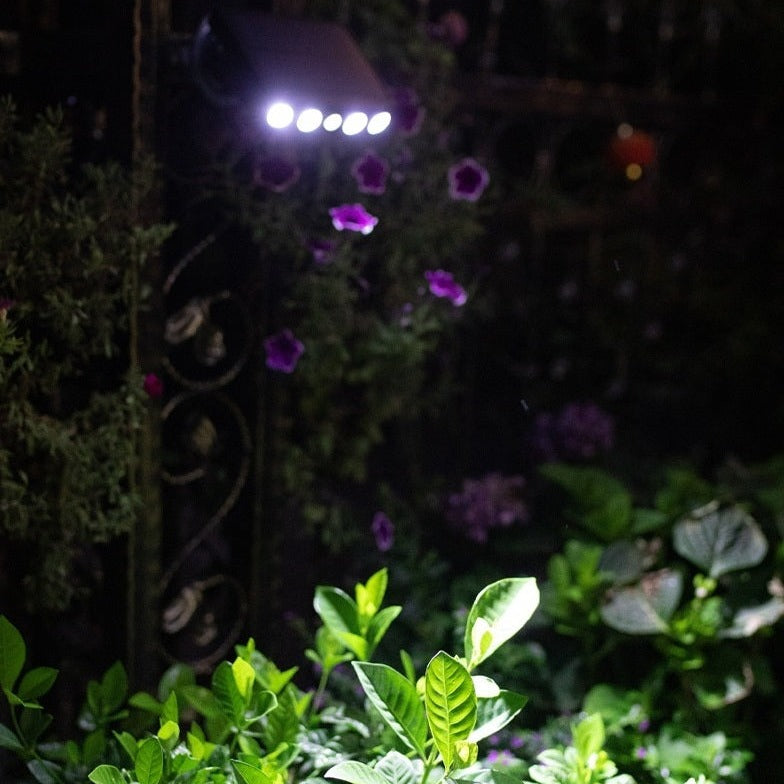 SolarSecure - nighttime security without electricity costs