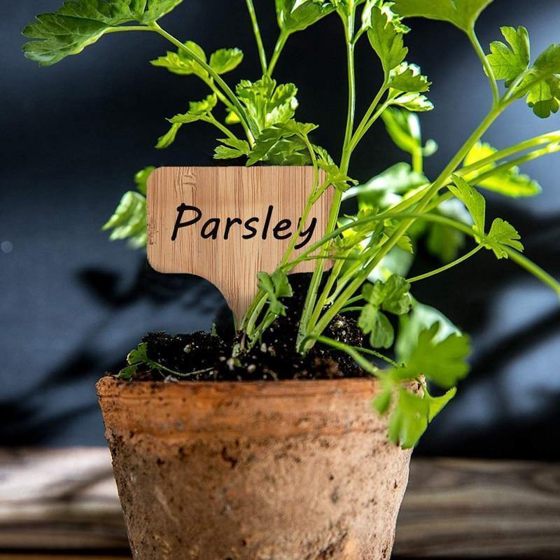PlantSign - Bamboo plant signs for garden &amp; decoration