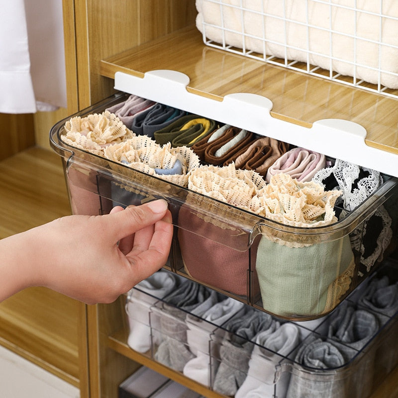 TranspaTote - Transparent storage for underwear and clothing