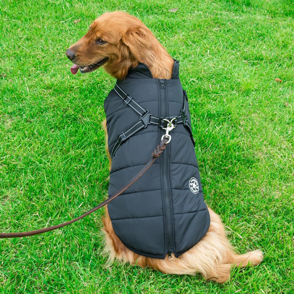 WoofGuard - Waterproof winter jacket with integrated harness [Last day sale]