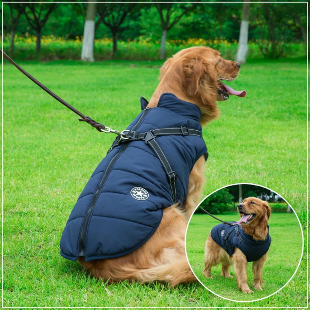 WoofGuard - Waterproof winter jacket with integrated harness [Last day sale]
