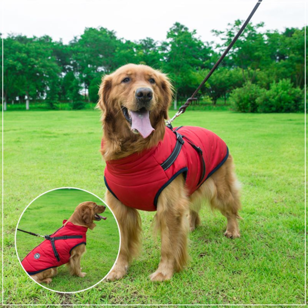 WoofGuard - Waterproof winter jacket with integrated harness [Last day sale]
