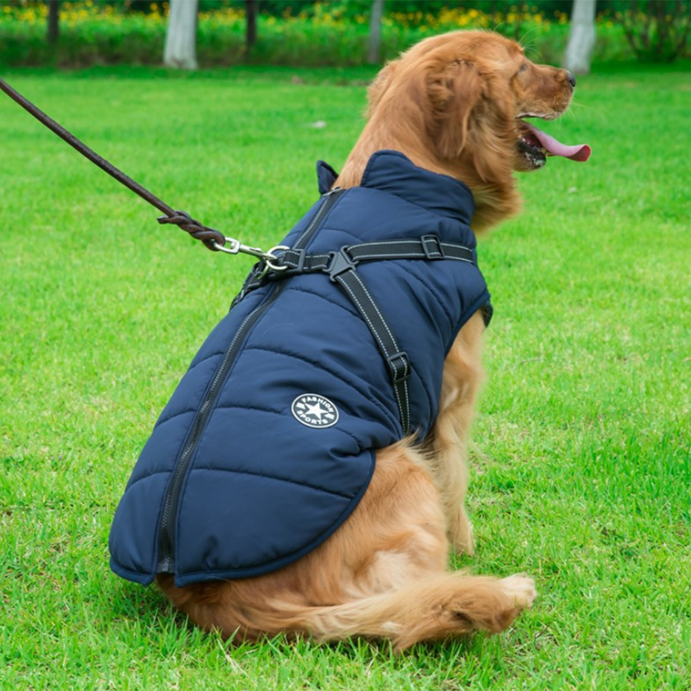 WoofGuard - Waterproof winter jacket with integrated harness [Last day sale]