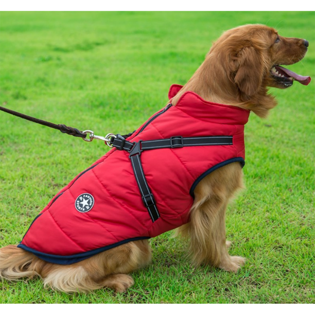 WoofGuard - Waterproof winter jacket with integrated harness [Last day sale]