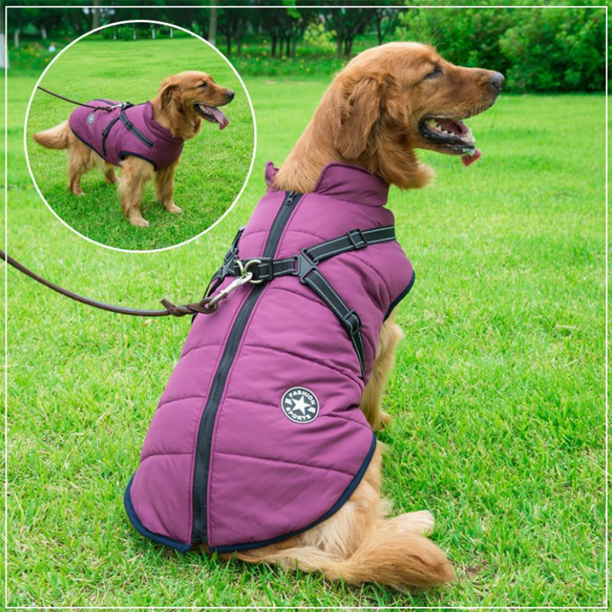 WoofGuard - Waterproof winter jacket with integrated harness [Last day sale]