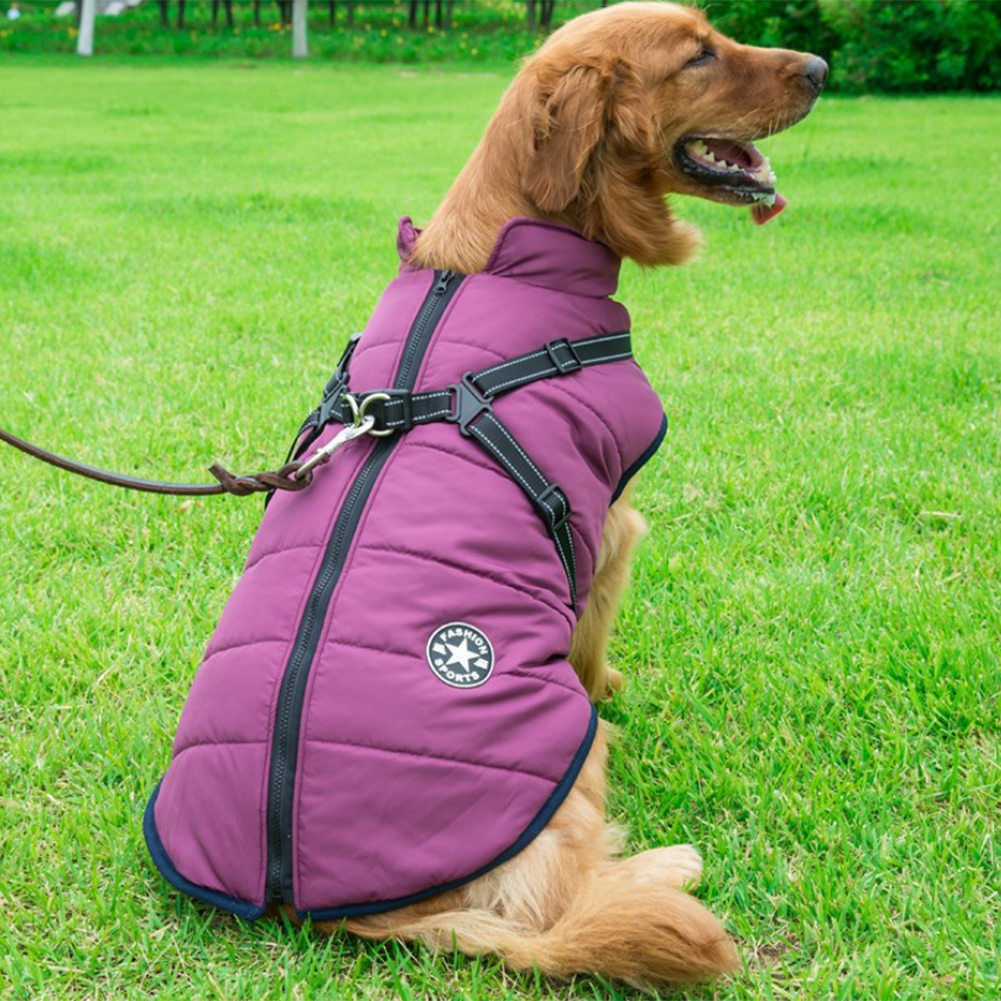 WoofGuard - Waterproof winter jacket with integrated harness [Last day sale]