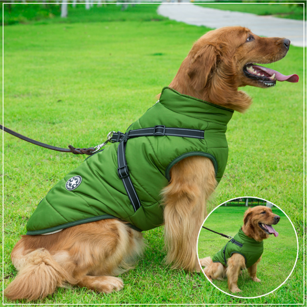 WoofGuard - Waterproof winter jacket with integrated harness [Last day sale]