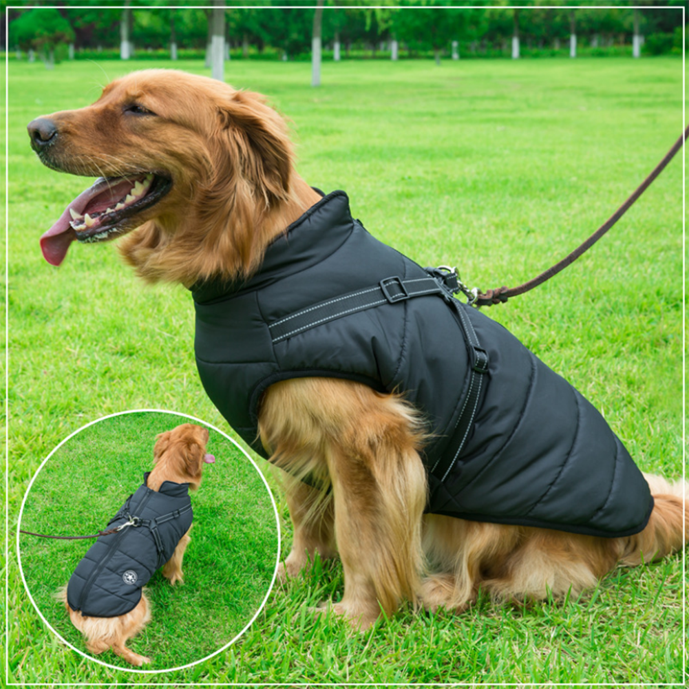 WoofGuard - Waterproof winter jacket with integrated harness [Last day sale]