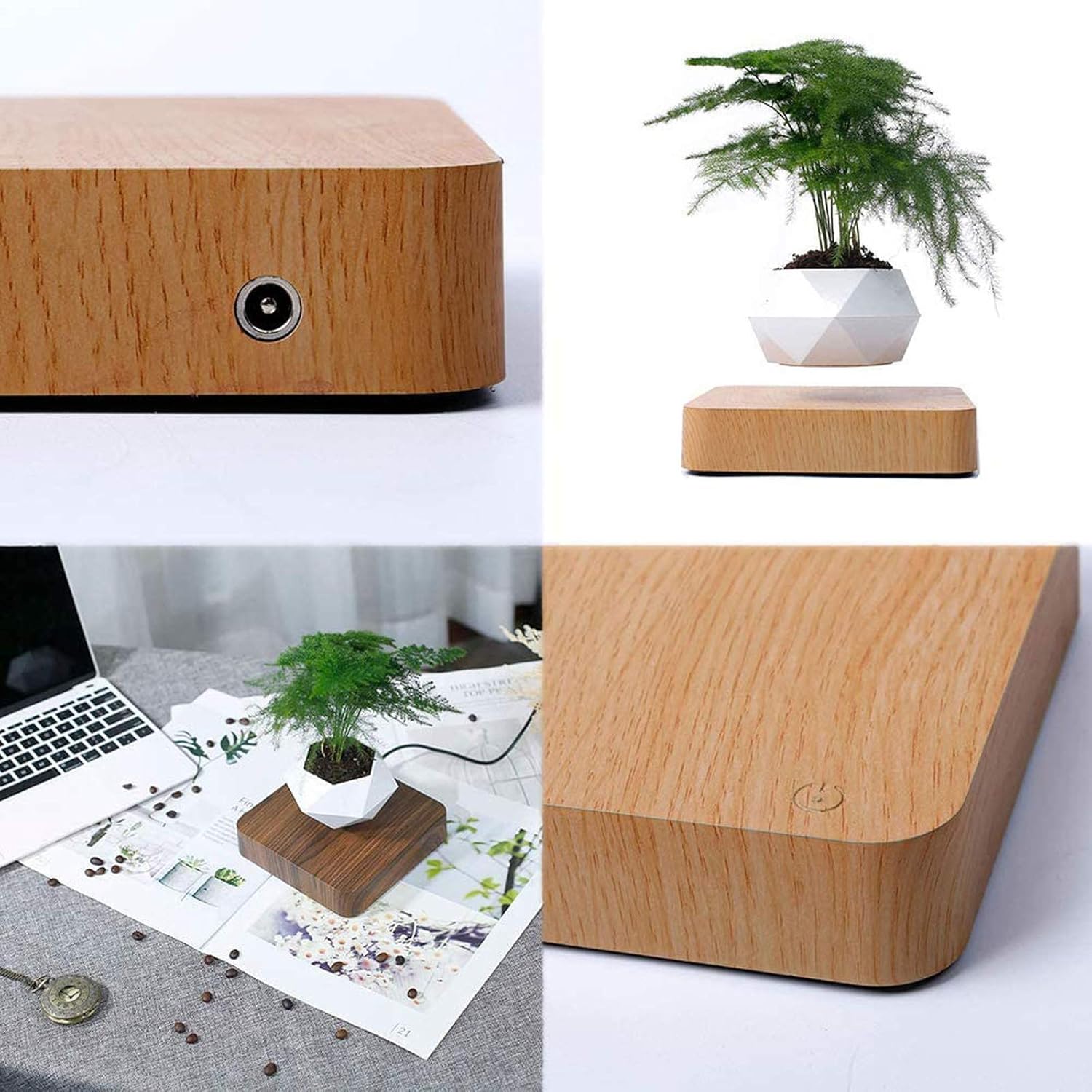 Plantlev - The floating plant that catches everyone's attention!