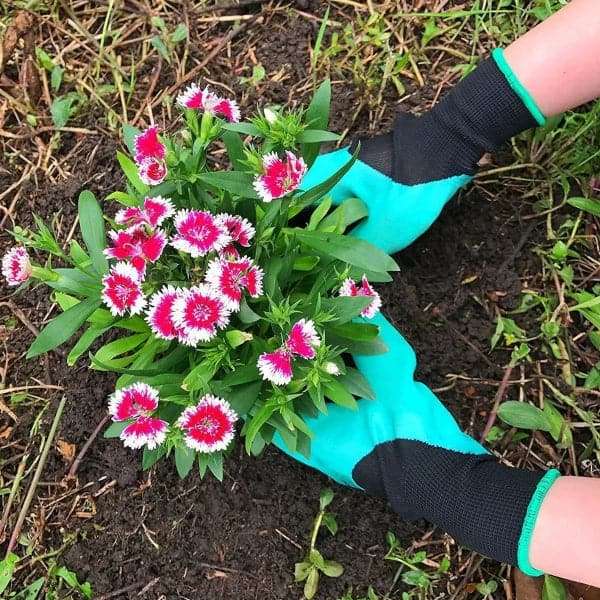 PlanterGlove - Garden Gloves with Claws