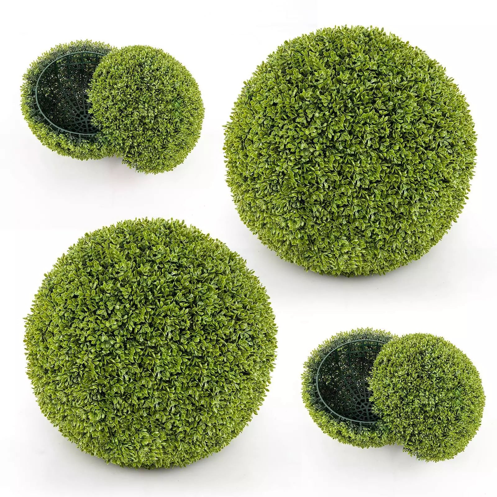 Buy 1+1 FREE | GreenSphere - Evergreen charm for home &amp; garden