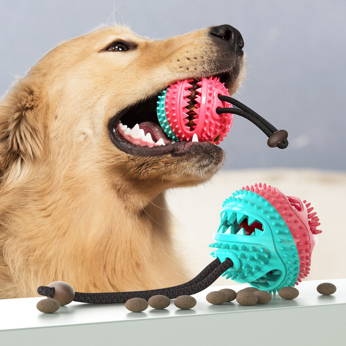 PupTug - Tug Rope for Pets [Last Day Sale] 
