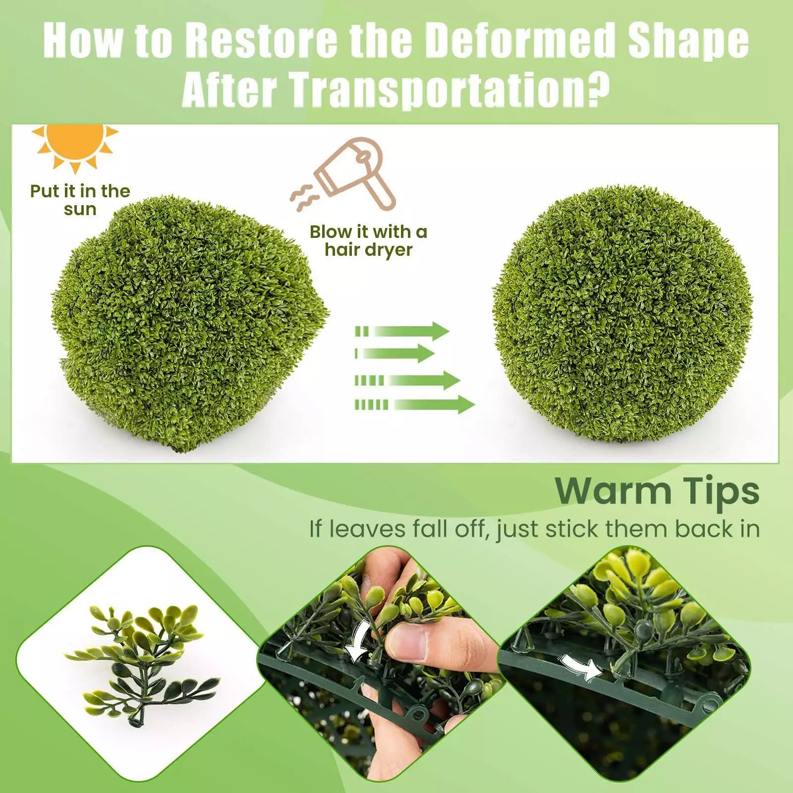 Buy 1+1 FREE | GreenSphere - Evergreen charm for home &amp; garden