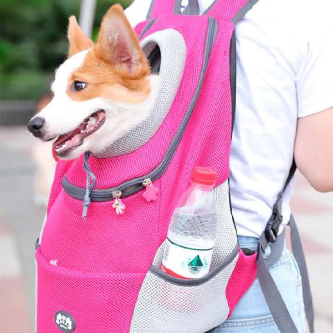 PawCarry - Travel everywhere together