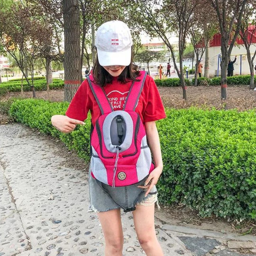 PawCarry - Travel everywhere together