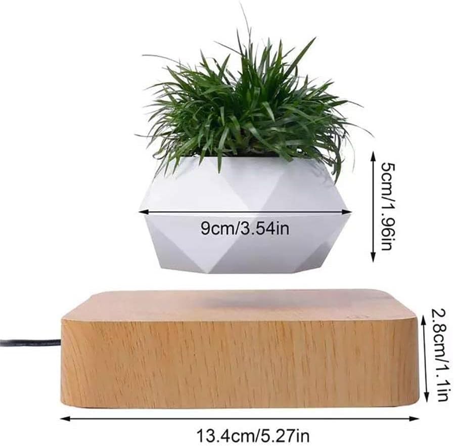 Plantlev - The floating plant that catches everyone's attention!