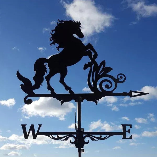 Windane - Stainless steel weather vane [Last day sale]