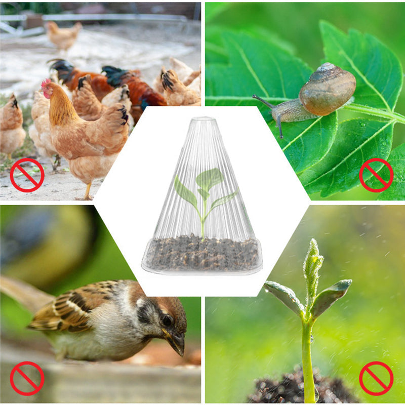 10+10 FREE | GrowGuard - Protection &amp; warmth for healthy plants