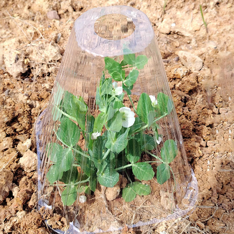 10+10 FREE | GrowGuard - Protection &amp; warmth for healthy plants