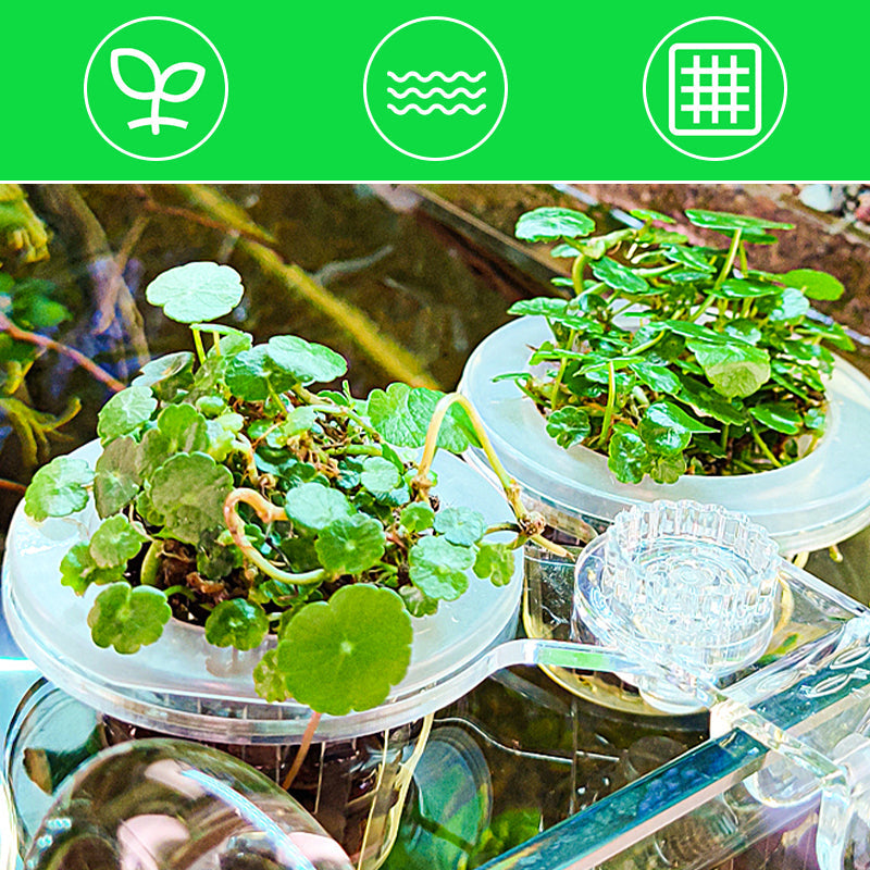 Buy 1+1 FREE | HydroScope - Root monitoring made easy