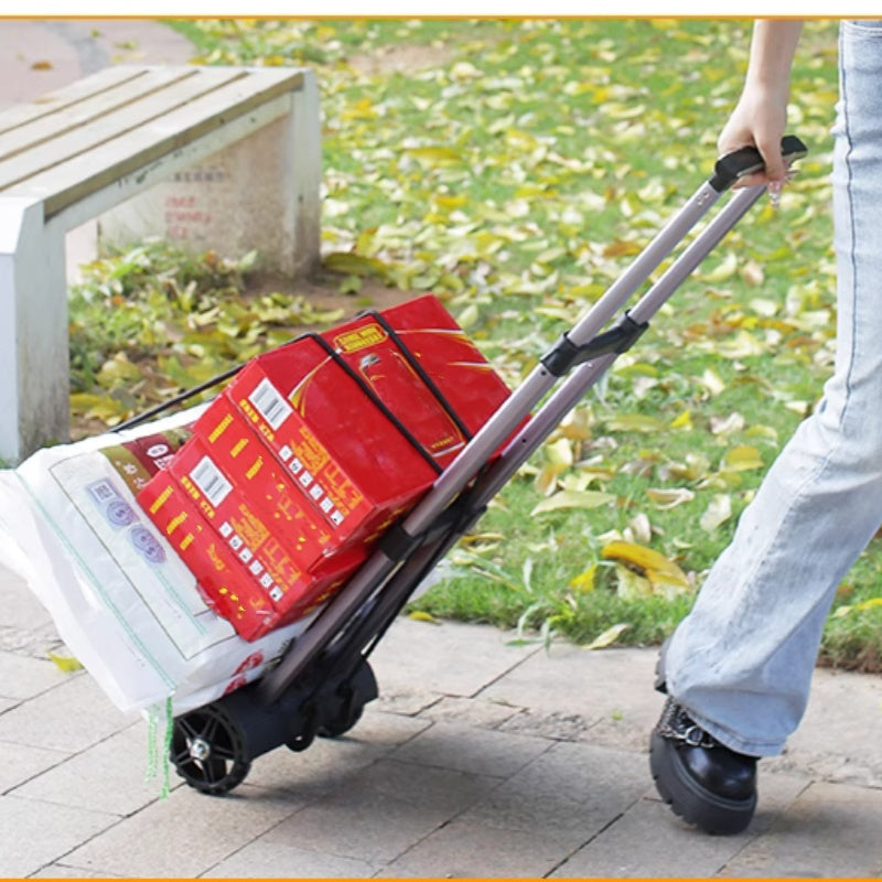 CarryMax Fold – Strong beim Slowen, small beim Verstauen