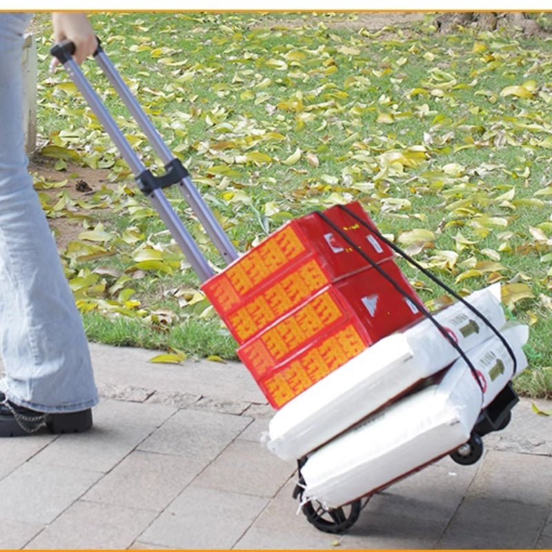 CarryMax Fold – Strong beim Slowen, small beim Verstauen