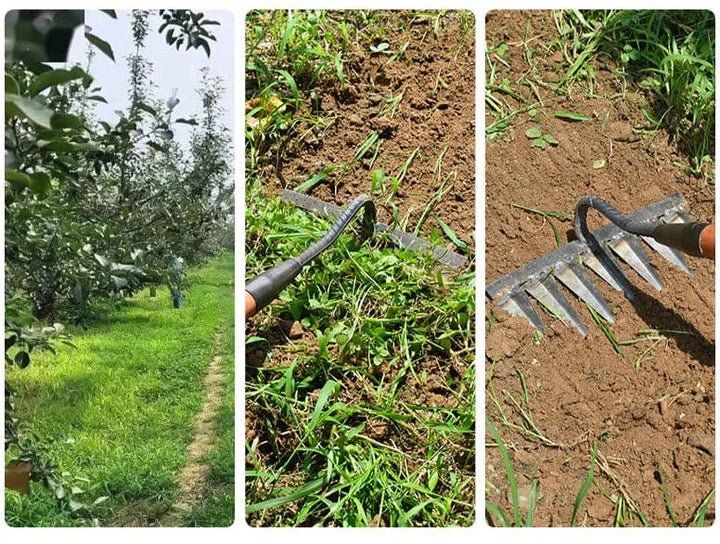 50% OFF | GardenBuddy™ - Heavy-Duty Iron Garden Rake [Last Day Sale]