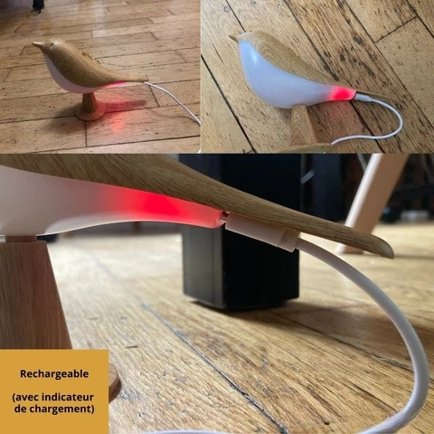 LumiBird - Magical light &amp; scent for relaxing moments