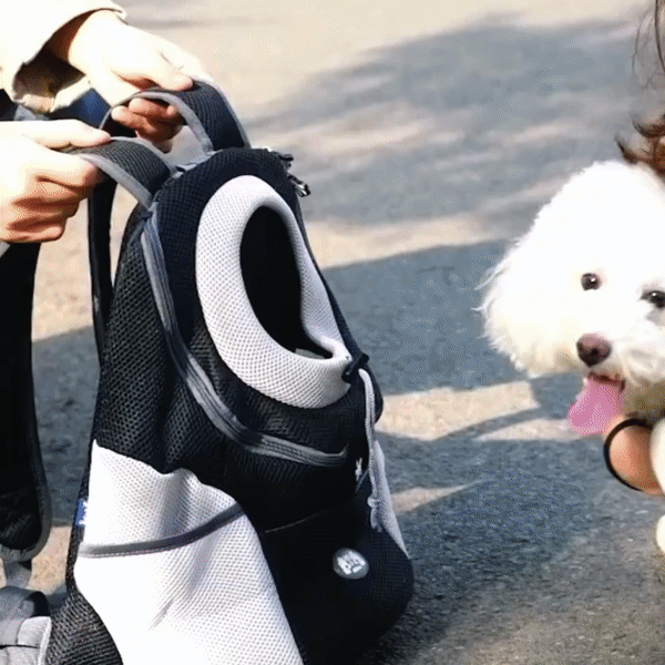 PawCarry - Travel everywhere together