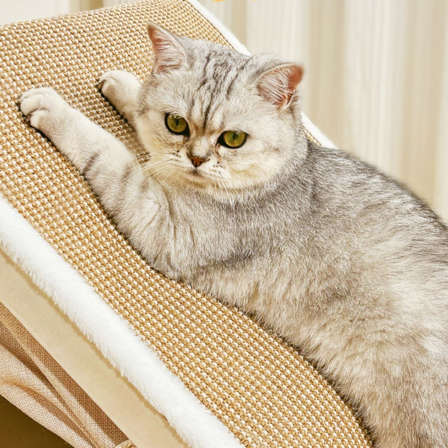 WhiskerVilla - Cozy cat villa with sisal scratching roof