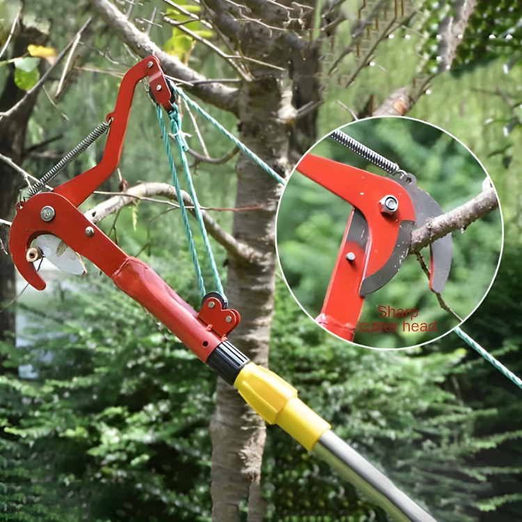 TreeTrim - Prune high branches safely from the ground!