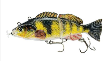 PredaBot - The AI bait for your next record catch!